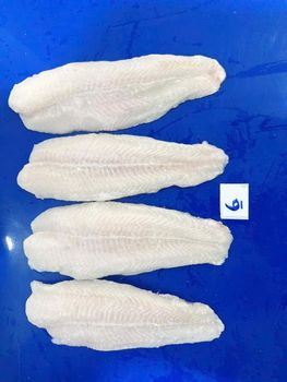 PANGASIUS FILLET - HD FROZEN CO LTD - Vietnam