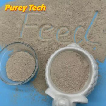 Fine Powder Can Be Mixed Bentonite with Other Additives Without Particles - Pureytech Materials (Shenyang) Co., Ltd - China