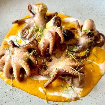 Frozen Fresh Octopus Premium Ocean Harvest With Delicate Texture And Strong Buyer Interest In International Markets - TOSOH INTERNATIONAL - South Africa