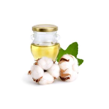 High quality cottonseed oil offered for wholesale to commercial kitchens from MASI TRADING GMBH High quality cottonseed oil offered for wholesale to commercial kitchens - MASI TRADING GMBH - Germany