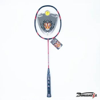 Special Hot Selling Badminton Racquets Lightweight Carbon Fiber Racket DMS55 Set - Dmantis Sports Goods Co., Ltd. - China