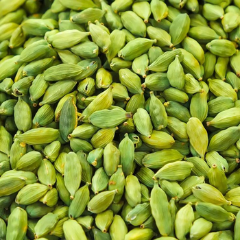 CARDAMOM EXPORT QUALITY (7.5 - 8.5MM) from shafa exporters pvt Ltd CARDAMOM EXPORT QUALITY (7.5 - 8.5MM) - shafa exporters pvt Ltd - India