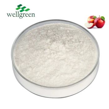 C-GMP Organic Apple Cider Vinegar 5% Acv Apple Cider Vinegar Powder - Wellgreen Technology Co., Ltd - China