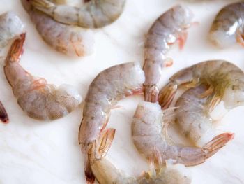 Frozen Common Shrimp & Prawn Shrimp Type Steamed White Shrimp, Pd Shrimp, Steamed Pd Shrimp, Black Tiger Shrimp, Ground Shrimp, Whole Shrimp, Cleaned Shrimp - SOURCE GLOBAL TRADING GROUP - South Africa