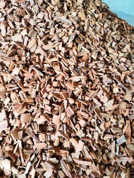 CASSIA BROKEN CLEAN