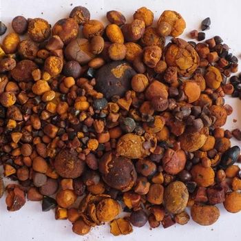 Premium Ox Gallstone Natural Cow Gallstone High Purity Bulk Wholesale Supply Cheap & Affordable Pricing - A.C.P. AGRICULTURE COMPANY LIMITED - Thailand
