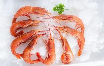 Frozen Langostino - AMAC GOLD AND DIAMOND METALS SUPPLIER - Germany