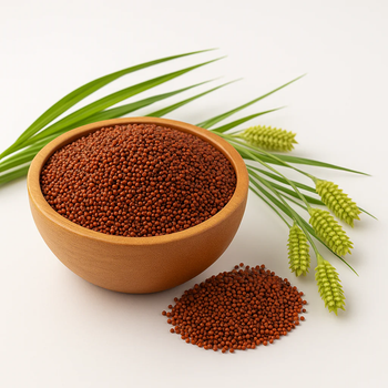 Bulk supply finger millet premium quality grains export ready packaging - HIGHPROFILE AGRICULTURE SERVICES LIMITED - Tanzania
