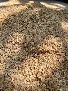 Agriculture, Food & Beverage – product photo, Food Beverage products found from trusted suppliers, wholesalers, manufacturers & exporters Listing