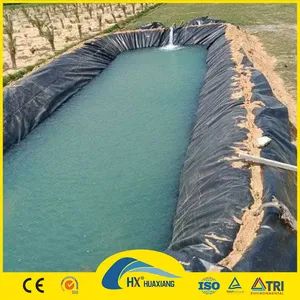 High-Quality Waterproof Geomembrane Manufacturer for Civil Engineering - Dezhou Huaxiang New Material Technology Co., Ltd. - China