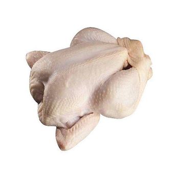 Halal Frozen Chicken Breast and Whole Frozen Chicken Box Style Packaging Feature Weight Shelf Origin Brazil  TOP QUALITY HALAL WHOLE FROZEN CHICKEN HALAL FROZEN WHOLE CHICKEN BEST RATE FROZEN WHOLE CHICKEN  Premium Grade Fresh Frozen Chicken In a Best Rate Wholesale Chickens Frozen  Whole Chicken Halal Whole Frozen Chicken - GLOBOTO TRADE BRASIL LTDA - Brazil