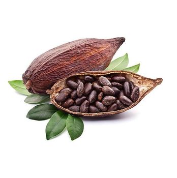 Good Quality Dried Top Grade Cocoa Beans cocoa powder cocoa butter/ Cacao/ Chocolate Bean -  CALIPSO POLSKA SP Z OO  - Poland