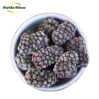 Good price Bulk IQF berries frozen blackberry fruits Content no Address no Style FROZEN Weight (kg) 10 Ingredients no Taste - Qingao Harthn-Ritune Corp., Ltd. - China