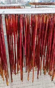 Bully Sticks – product photo, Main Products