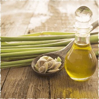 lemongrass essential oil Place of Origin Vietnam Packaging 10ml, 20ml, 50ml glass bottles, 5-10l -  Vinasamex  - Vietnam