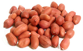 Groundnut from ISHRA INTERNATIONAL Groundnut - ISHRA INTERNATIONAL - India