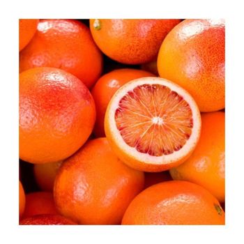 Valencia Oranges Fresh Produce Citrus Fresh Fruits bulk orange fresh citrus fruit - Medcompex Gmbh - United Kingdom