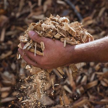 Processed Hardwood Wood Chips Bulk Supply Wood Chips For Packaging Industry And Protective Material Manufacturing - THE GREEN INTERNATIONAL LIMITED - Tanzania