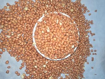 Premium Peanuts (Groundnuts) Flavor Natural Type Bold & Java Skin Color Bright Grain Size Uniform Oil Content 45–50% Admixture Level ≤1% - BLUE SAND CO.LTD - Sudan