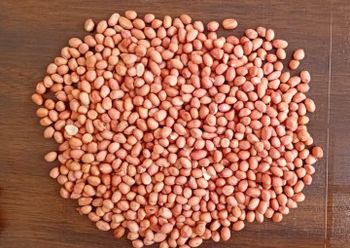 Peanuts  - Shree Bramhani Enterprise  - India