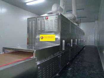 China Manufacturer Stainless Steel Ldy-20pw-4X Tunnel Microwave Drying Ovens for Vegetable Dehydration - Jinan Longdia Machinery Technology Co., Ltd - China