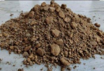 Rapeseed meal - Star impex enterprises - India