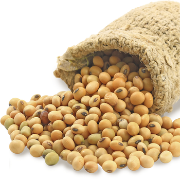 NON GMO SOYBEANS SEEDS from AGRO AFRIQUE COMPANY LIMITED NON GMO SOYBEANS SEEDS - AGRO AFRIQUE COMPANY LIMITED - Tanzania