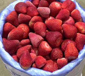 Frozen strawberry - AL-SEDIK FOR FRUITS AND VEGETABLE EXPORT AND TRADING - Egypt