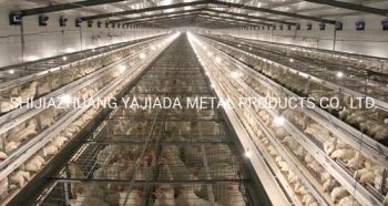 Egg Layer Chicken Farm Laying Hens Poultry Battery Cages for Sale - SHIJIAZHUANG YAJIADA METAL PRODUCTS CO., LTD. - China