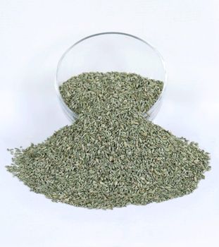 Fennel seeds Grade A Shape Bold Type seeds Purity 99.9% Shelf Life 2 Years Packaging 25 - 50 KG Container Size 20 Ft, 40 Ft - ALGAWHARA HERBS & SPICES - Egypt