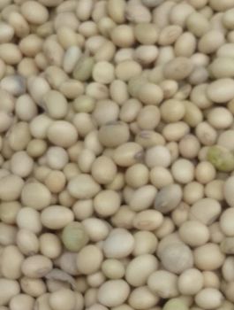 Organic Soybeans – product photo, Recommend Fallback