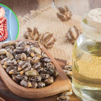 Black Castor Oil 1 KG Expeller Pressed Ricinus Communis Oil for Aromatherapy Blends & Industrial Grade - CPW TRADE LTD - United Kingdom