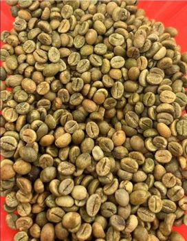 Organic Robusta and Arabica Green Coffee Beans - GIFEX AGRO TANANZIA LIMITED - Tanzania