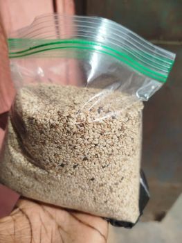 Sesame seeds, White sortex and cleaned Features Sortex Origin West African Packaging Size 50kgs Organic Conventional - Marcel MALE - Benin