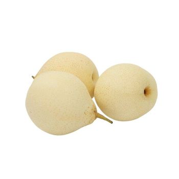 China New Crop Fresh Ya Pear Chinese Fresh Pear Fruit Crown Pear For Sale With Cheap Price - Jining New Silk Road Food Co., Ltd. - China