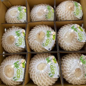Young Coconut Fresh Sri Lankan Natural Fresh coconut quality variety 9 pieces box Organic Pulp