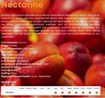 BALTULAR NECTARINE - TEMAS GROUP EXPORT PARTNERS - Turkey