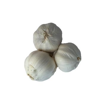 Selected Fresh Crop From Farms Featuring Normal White Garlic In Bulk Cartons With Quality Packing - malter group - Tanzania