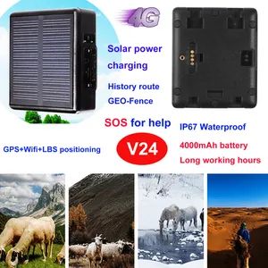 Wholesale 4G IP67 Waterproof Solar Powered Tracker GPS with collar for Sheep Cow Cattle animal V24 - Shenzhen Yushengchang Technology Co., Ltd. - China