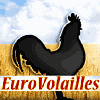 Product - EUROVOLAILLES - France