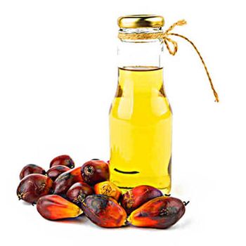 High quality refined palm oil manufacturer offering pure edible palm cooking oil wholesale for supermarkets distributors restaurants and food production companies with bulk container shipment and export services. - SATTER FOOD AND BEVERAGE - Netherlands