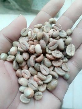 Coffee Bean
