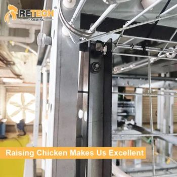 Chicken House Poultry Farm Chain type Harvesting Broiler Cage Poultry Equipment Poultry Cage - SHANDONG FARMING PORT GROUP CO., LTD - China