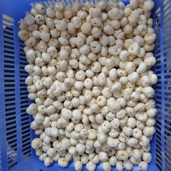 Fox Nuts Grade A-grade Origin Bihar, India Size Variants 7 Sutta, 6+ Sutta, 6 Sutta, 5+ Sutta, 5 Sutta, 4+ Sutta, 4 - Darnif Exim Pvt. Ltd. - India