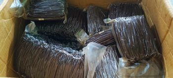 Tahitensis Vanilla Bean Gourmet - cv hanjaya teknologi indonesia - Indonesia