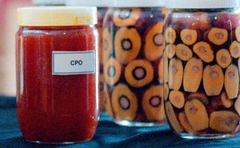 CPO (Palm Kernel Oil) Color Red Orange Certifications Sni 01-2901-2006, Mpob Standard, Iscc, Rspo, - Sumatra Lintas Asia - Indonesia