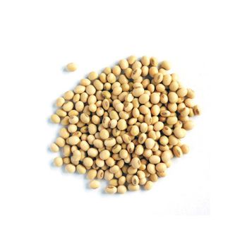 Wholesale price offered for soybeans for food processing companies and livestock farms from HIGHPROFILE AGRICULTURE SERVICES LIMITED Wholesale price offered for soybeans for food processing companies and livestock farms - HIGHPROFILE AGRICULTURE SERVICES LIMITED - Tanzania