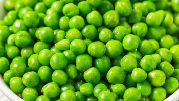 IQF Green peas Country Of Origin Egypt Packaging 10 Kg Per Carton Minimum Order Quantity 24 - Cairo Gates Import & Export - Egypt
