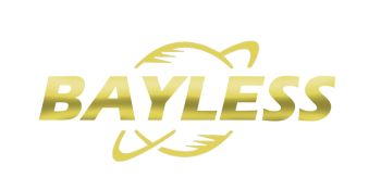 Product - Qingdao Bayless Paper Group Co., Ltd. - China