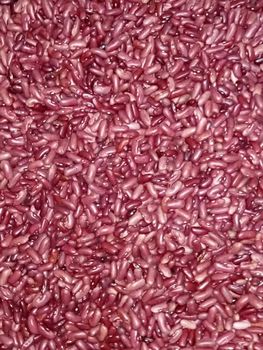 High Quality Long Dark Red Kidney Beans Red Bean Dry Kidney Fat 0.5g Grade AA Zinc 1.1mg Fiber 6.4g Iron 2.9mg Sugars 0.3g -  DAEWKAEW PANTAMANG Co., Ltd - Thailand